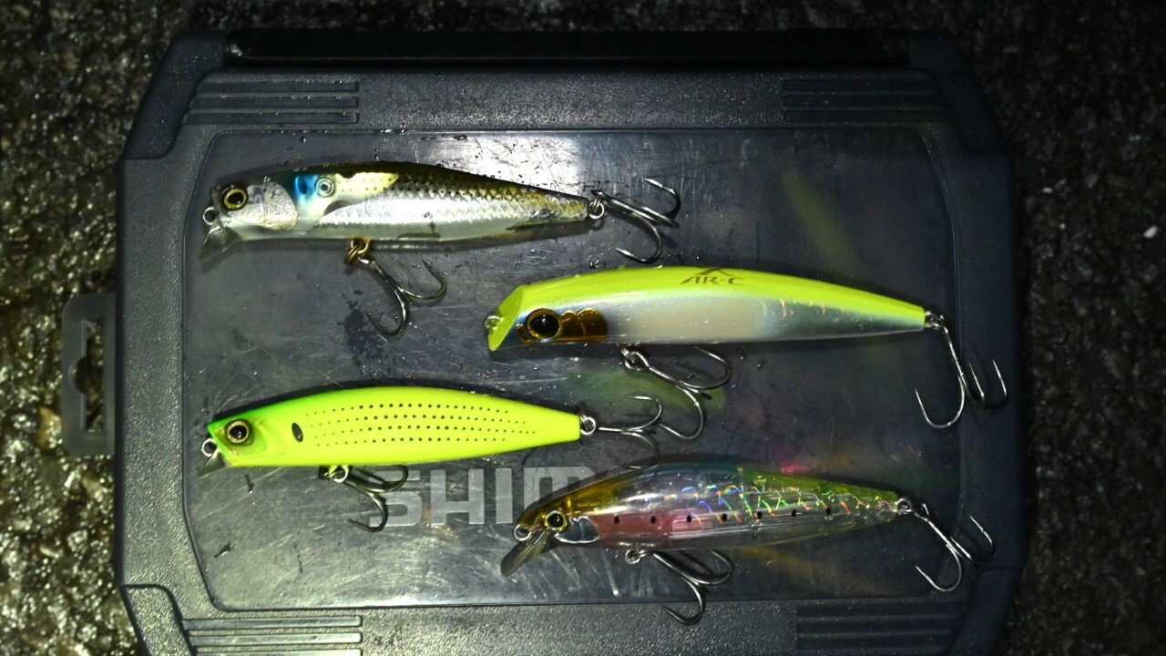 回遊待ちに頼らない。干潟でのシーバスゲームで釣果を伸ばす「ルアーの